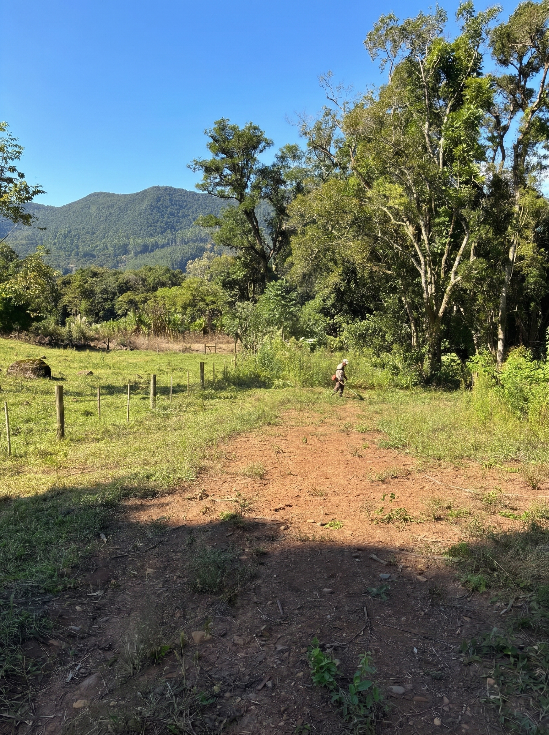 Vista das montanhas com área aberta no sítio